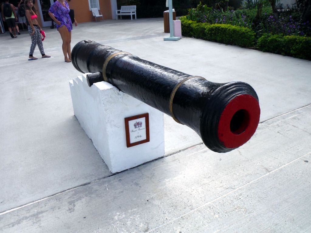 freedom-cruise-2014-10_082.jpg (large)