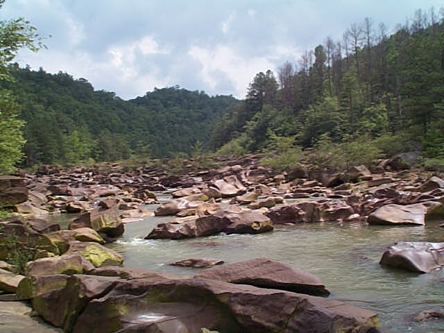 Image - DCP03691.JPG