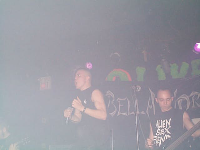 Image - DCP02785.JPG
