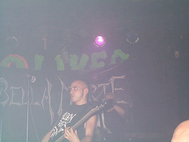 Image - DCP02793.JPG