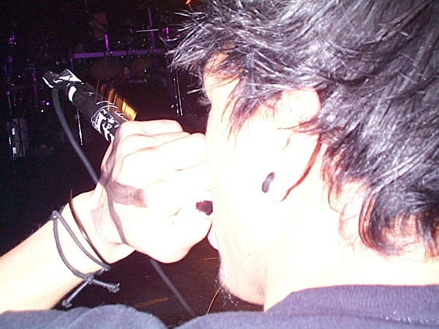 Image - Dcp06805.jpg